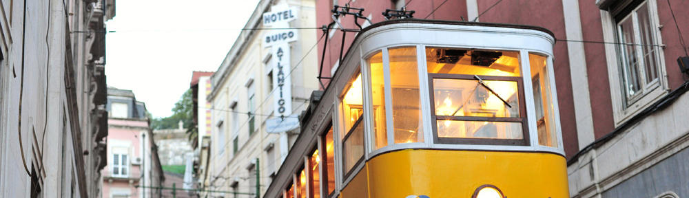 鹿子木家-系譜-